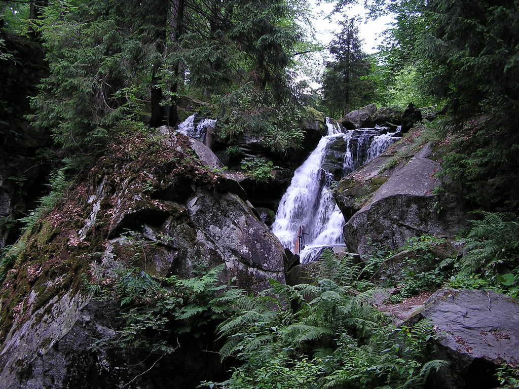 p7280006-1024.jpg