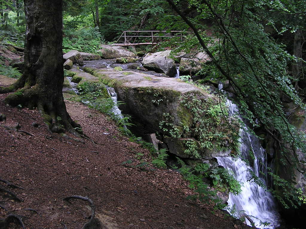 p7280022-1024.jpg
