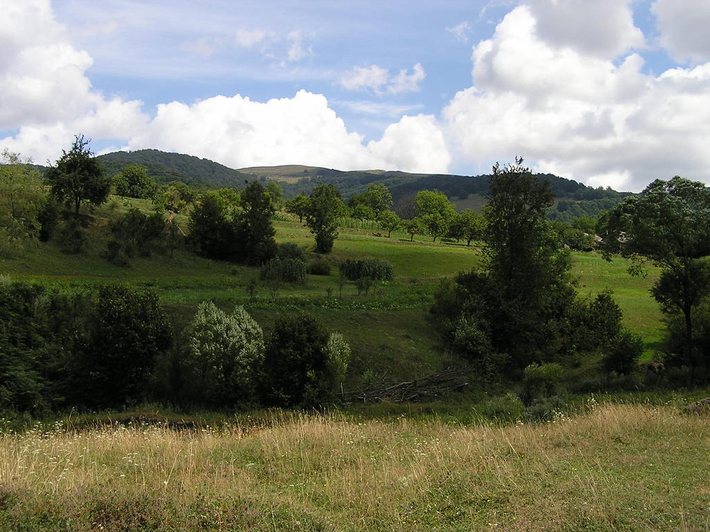 p7290048-1024.jpg