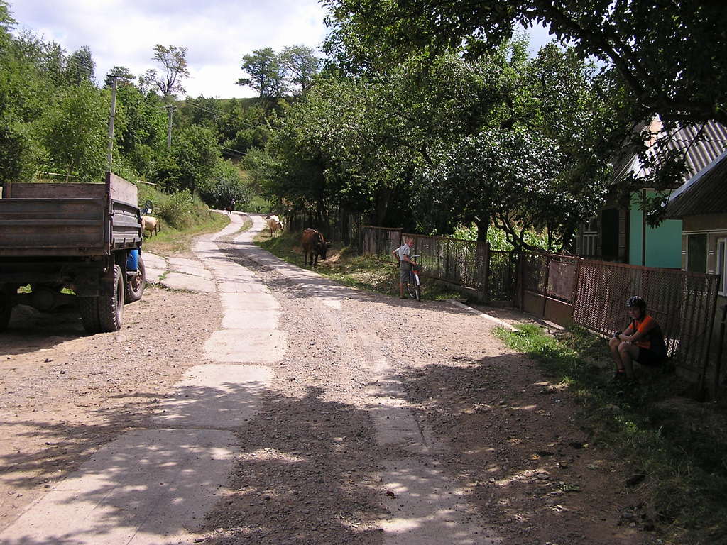 p7290052-1024.jpg