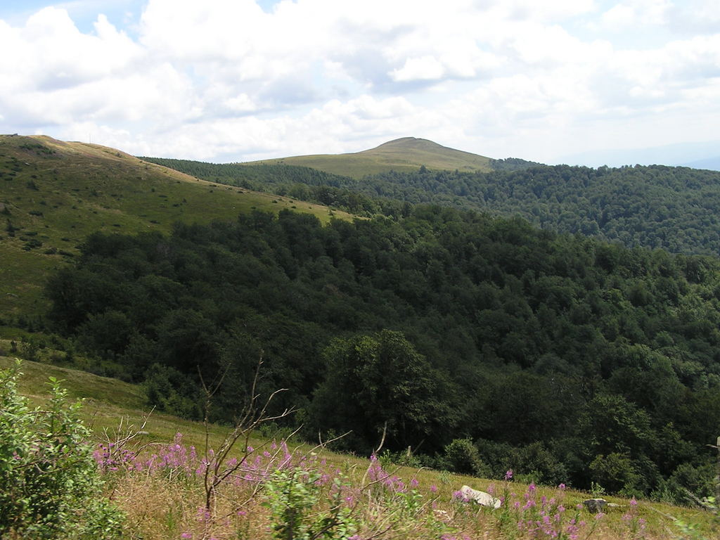 p7290104-1024.jpg