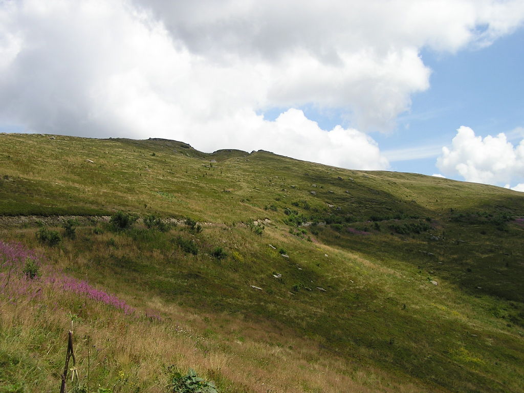 p7290106-1024.jpg