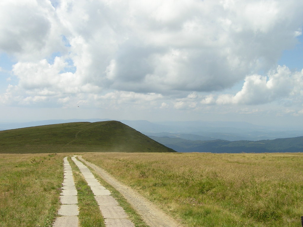 p7290129-1024.jpg