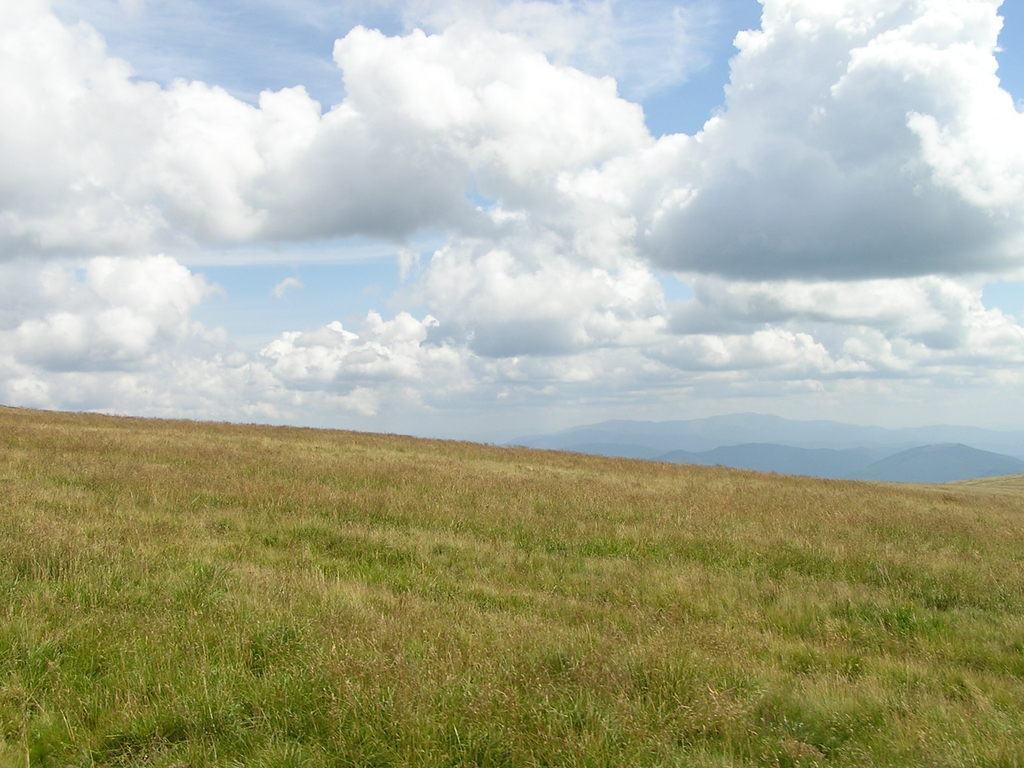 p7290131-1024.jpg