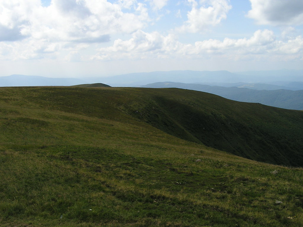 p7290190-1024.jpg