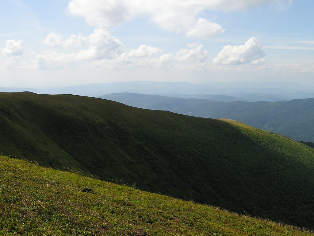 p7290207-1024.jpg