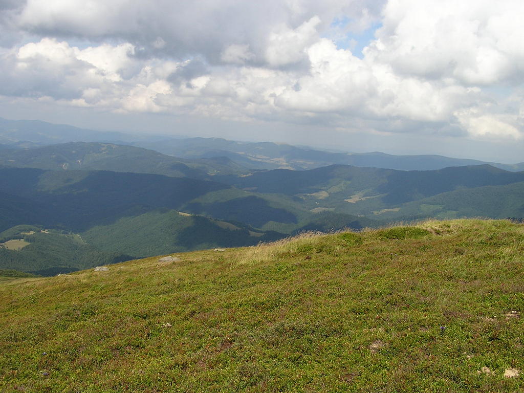 p7290210-1024.jpg