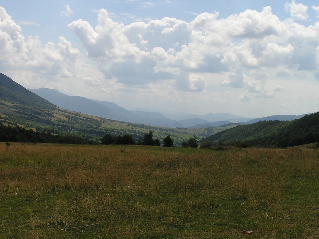 p8010329-1024.jpg