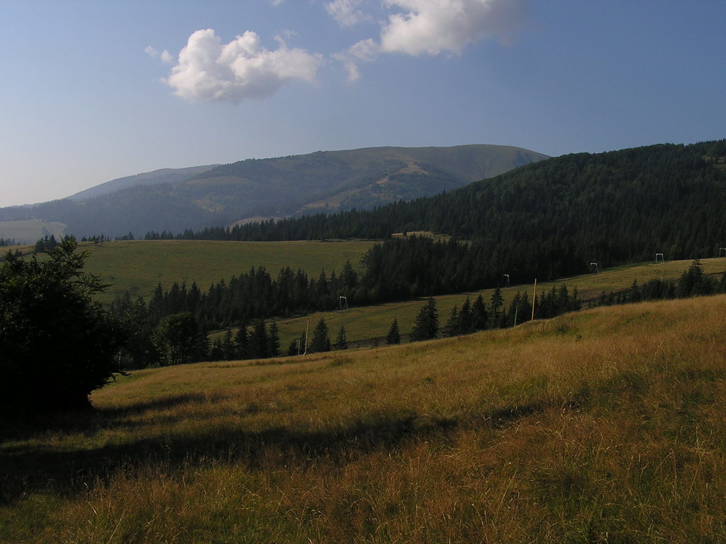 p8020340-1024.jpg