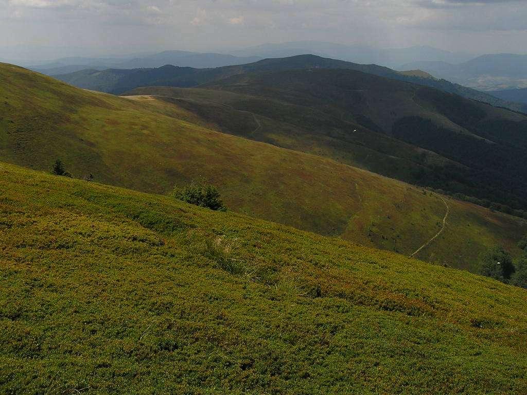 p8020377-1024.jpg