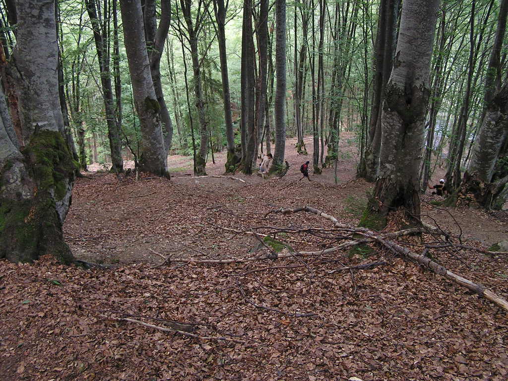 p8020389-1024.jpg